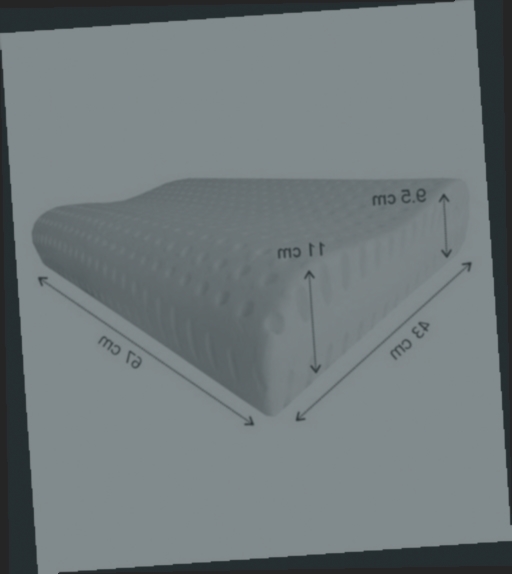 dormipur lot de 2 oreillers à mémoire de forme dreamer 60x60cm