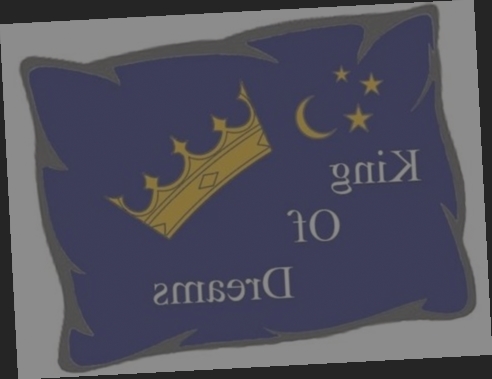 dormipur lot de 2 oreillers à mémoire de forme dreamer 60x60cm