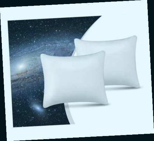 dormipur lot de 2 oreillers à mémoire de forme dreamer 60x60cm
