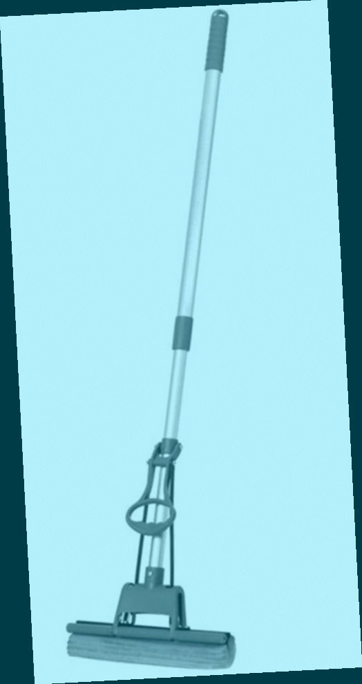 balai serpillere telescopique