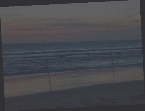 canne a peche surfcasting daiwa