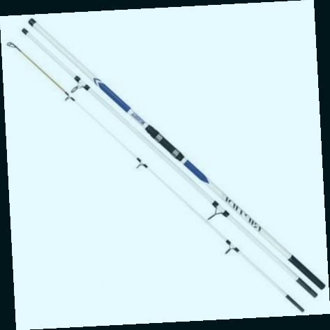 canne a peche surfcasting daiwa