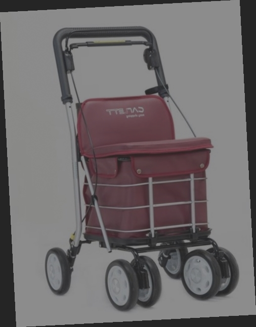 chariot de course caddie