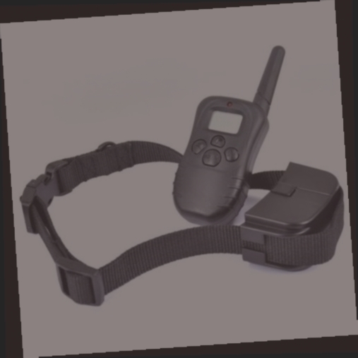 collier electrique pour chien garmin