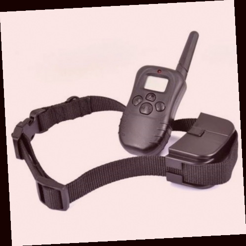 collier electrique pour chien de dressage