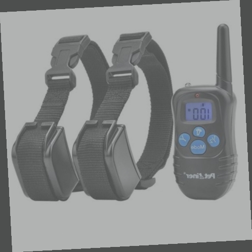 collier electrique pour chien avis