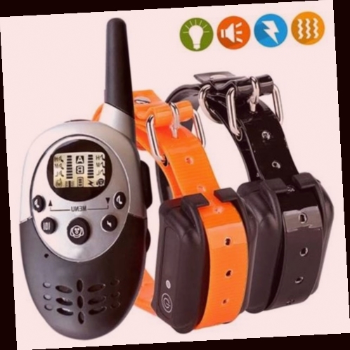 collier electrique pour chien de chasse