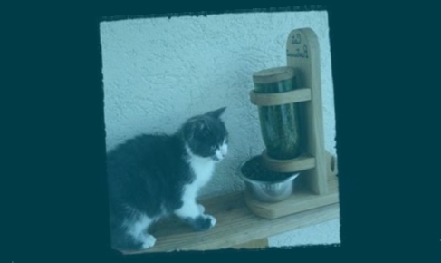 distributeur de croquettes chat maxi zoo