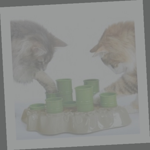 distributeur de croquettes chat amazon