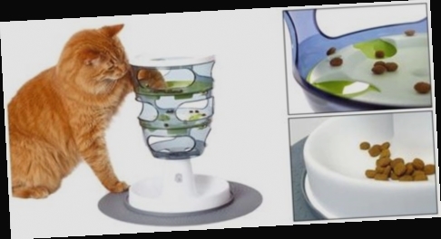 distributeur de croquettes chat jardiland