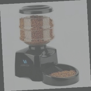 distributeur de croquettes chat amazon