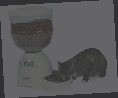 distributeur de croquettes chat gifi