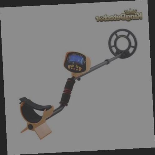detecteur de metaux etanche occasion