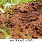 TOP des 10 meilleures ventes Fourmilière En Sable - RABAIS - 46 %