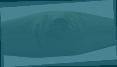 matelas camping autogonflant