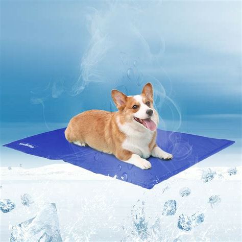 Matelas Rafraichissant Chien