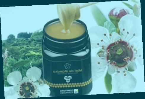 Pourquoi acheter Miel De Manuka Pieds sur internet ?