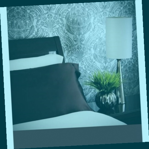 oreiller 20 x 30