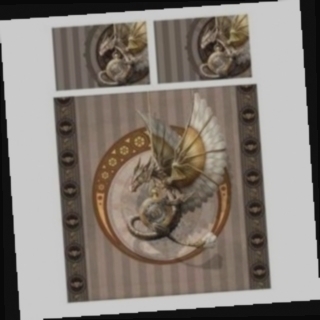 oreiller 20 x 30