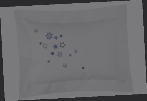 taie d'oreiller 20x30
