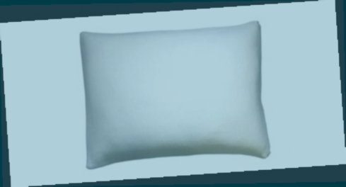 Où commander Oreiller 45X45 Lot De 2 ?
