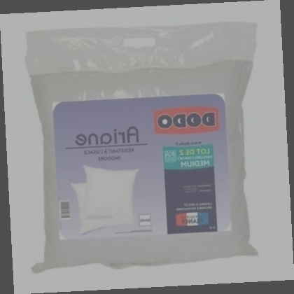 Où commander Oreiller 45X45 Lot De 2 ?