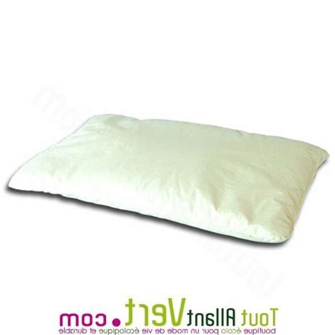 Oreiller Coton Bio 60x60