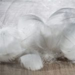 Oreiller Plume D'Oie : Remise immédiate ►◄ - 38 %