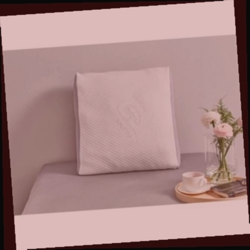 oreiller zenpur soft