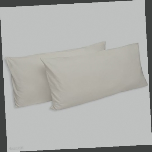 oreiller zenpur soft