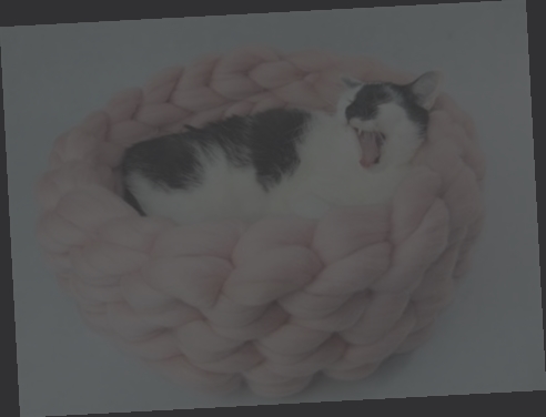panier pour chat design