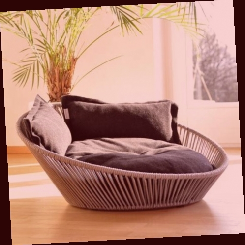 panier pour chat action