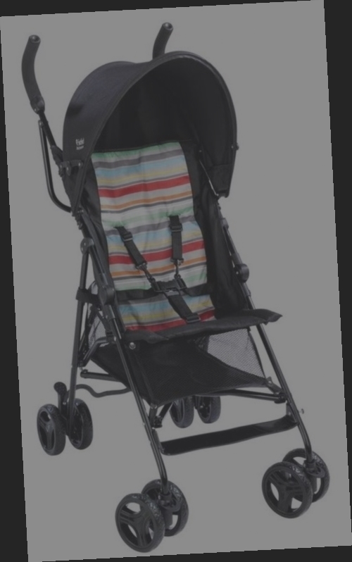 poussette canne leclerc