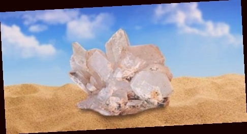 silicium organique g5 gel