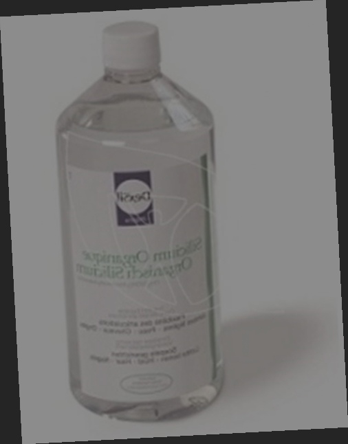 silicium organique vitasil