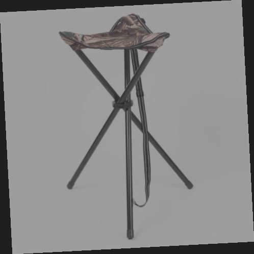 siège de chasse