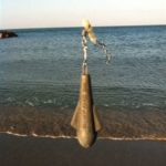 ▻▻ Surfcasting ▷▷ Comparatif des meilleurs avis sur le produit