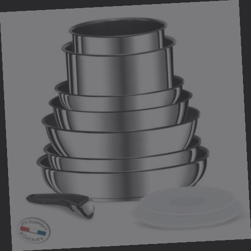 tefal ingenio induction