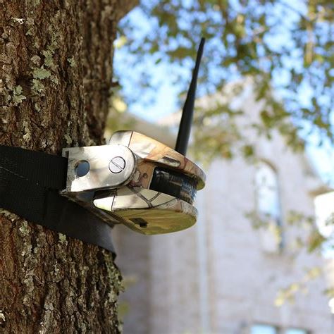 Trail Monitors