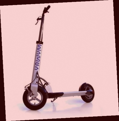 trottinette electrique adultes