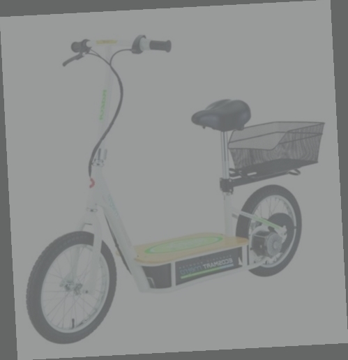 trottinette electrique adulte tout terrain