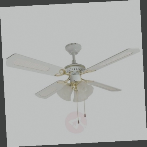 ventilateur de plafond canac