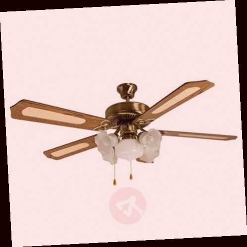ventilateur de plafond silencieux