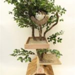 Arbre À Chat Avis des consommateurs - PROMOTION - 21 %