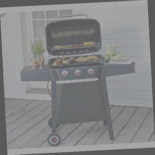 barbecue landmann charbon avis