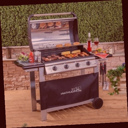 barbecue gaz et charbon
