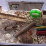TOP comparatif des 10 meilleures ventes Cage Hamster - PROMOTION - 36 %