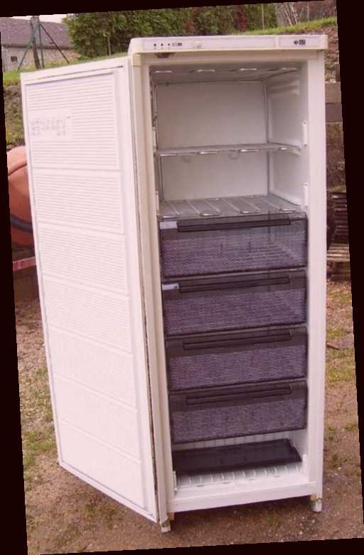 congelateur armoire boulanger