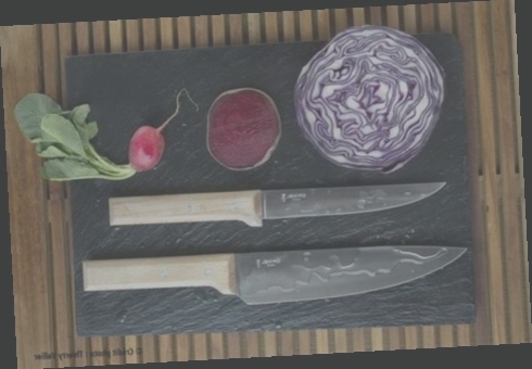 couteaux cuisine opinel couleur