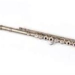 Flute Traversiere Avis de consommateurs - PROMO - 46 %